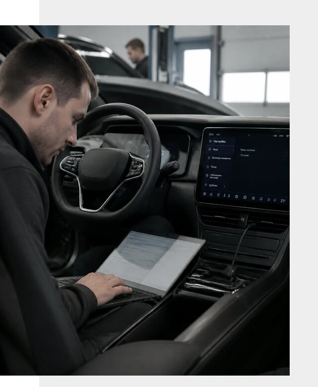 Русификация автомобилей BYD под ключ для всех моделей в Мичуринске