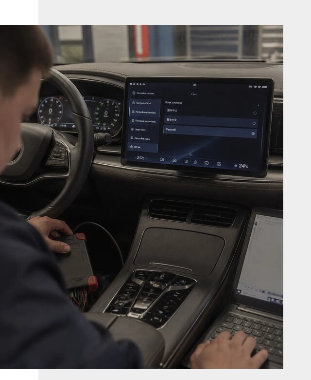 Русификация автомобиля BYD HAN для эксплуатации в Мичуринске