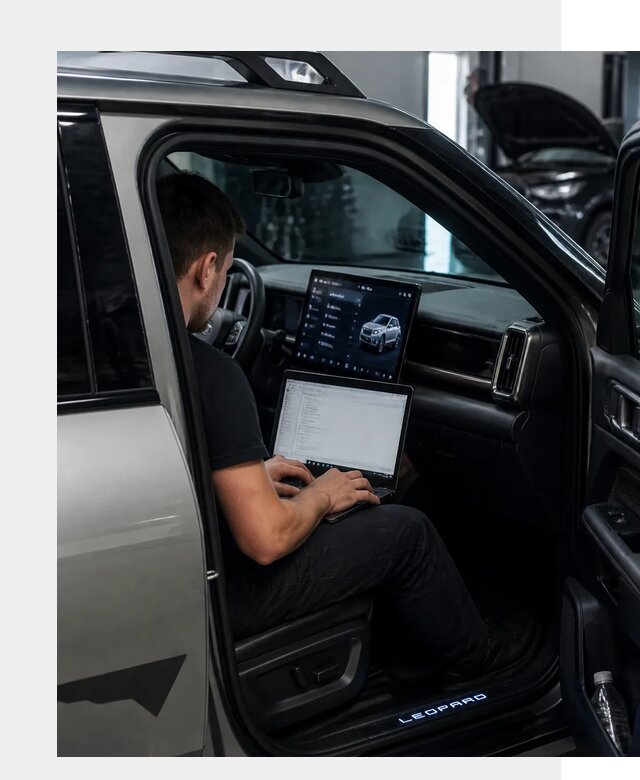 Русификация BYD Leopard 3 в Мичуринске по цене от 20604 р. | ФастМобиль-Мчр